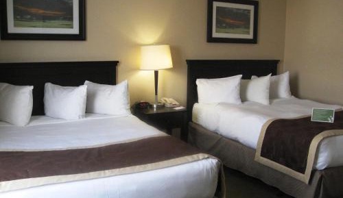 Queen Room with Two Queen Beds and City View - Non-Smoking