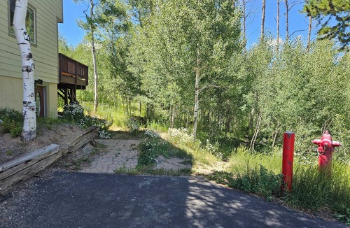 Wildernest Apartment | Summit Co. 1BR /1 BA Hiking & Skiing Paradise