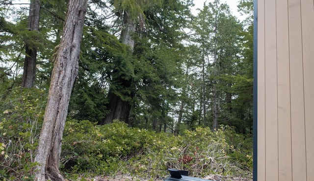 NEW Calmwater 1: New Built Waterfront Cabin in Ucluelet