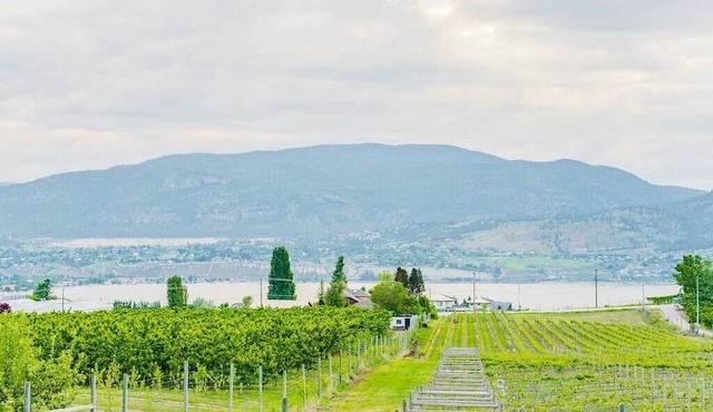 *Spacious 6 Bedroom House in Penticton