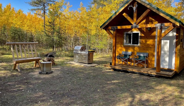 RUGER RIDGE A Tiny Cabin, Off Grid In The Woods