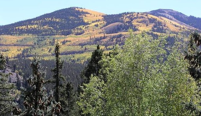 Romantic Cabin Rental with a Beautiful Log Interior near Cathedral, Colorado